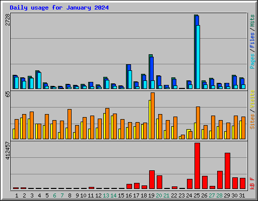 Daily usage for January 2024