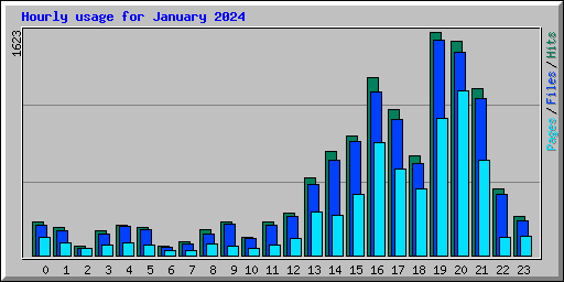 Hourly usage for January 2024