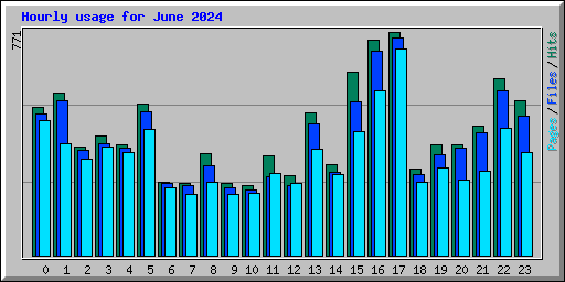 Hourly usage for June 2024