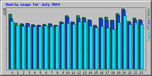 Hourly usage for July 2024