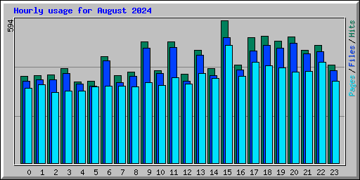 Hourly usage for August 2024