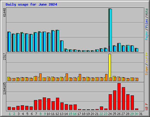 Daily usage for June 2024