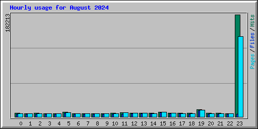 Hourly usage for August 2024