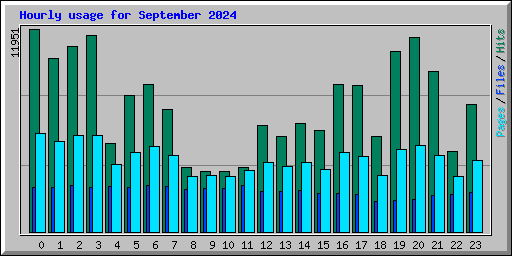 Hourly usage for September 2024